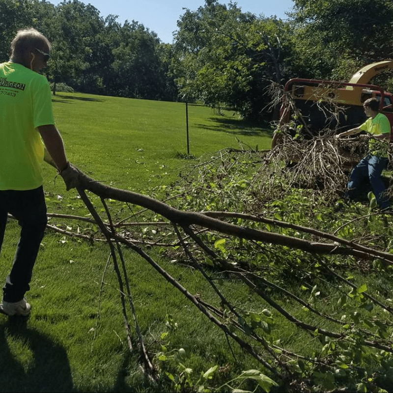 Bush Trimming and Removal Omaha, NE