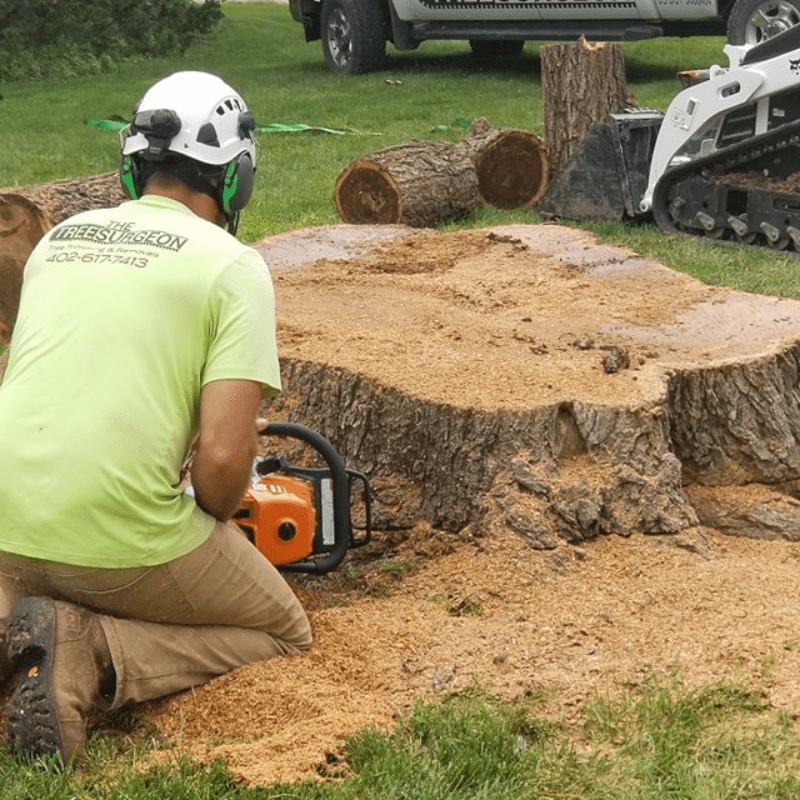 Stump Grinding Omaha, NE