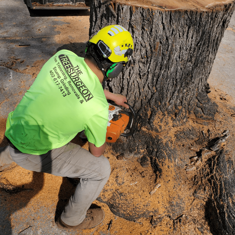 Tree Removal Omaha, NE