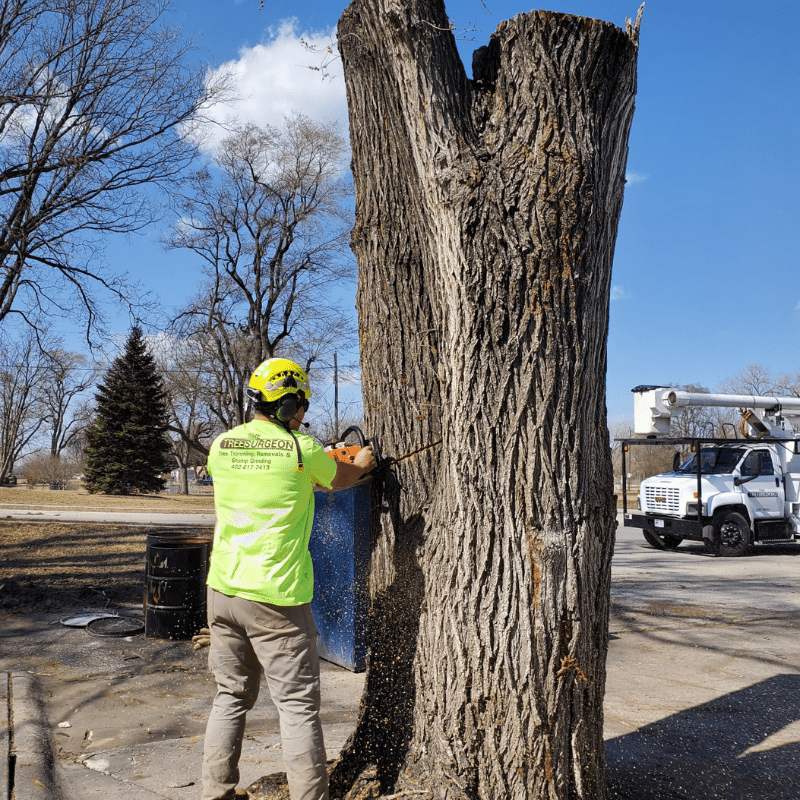 Tree Trimming Omaha, NE