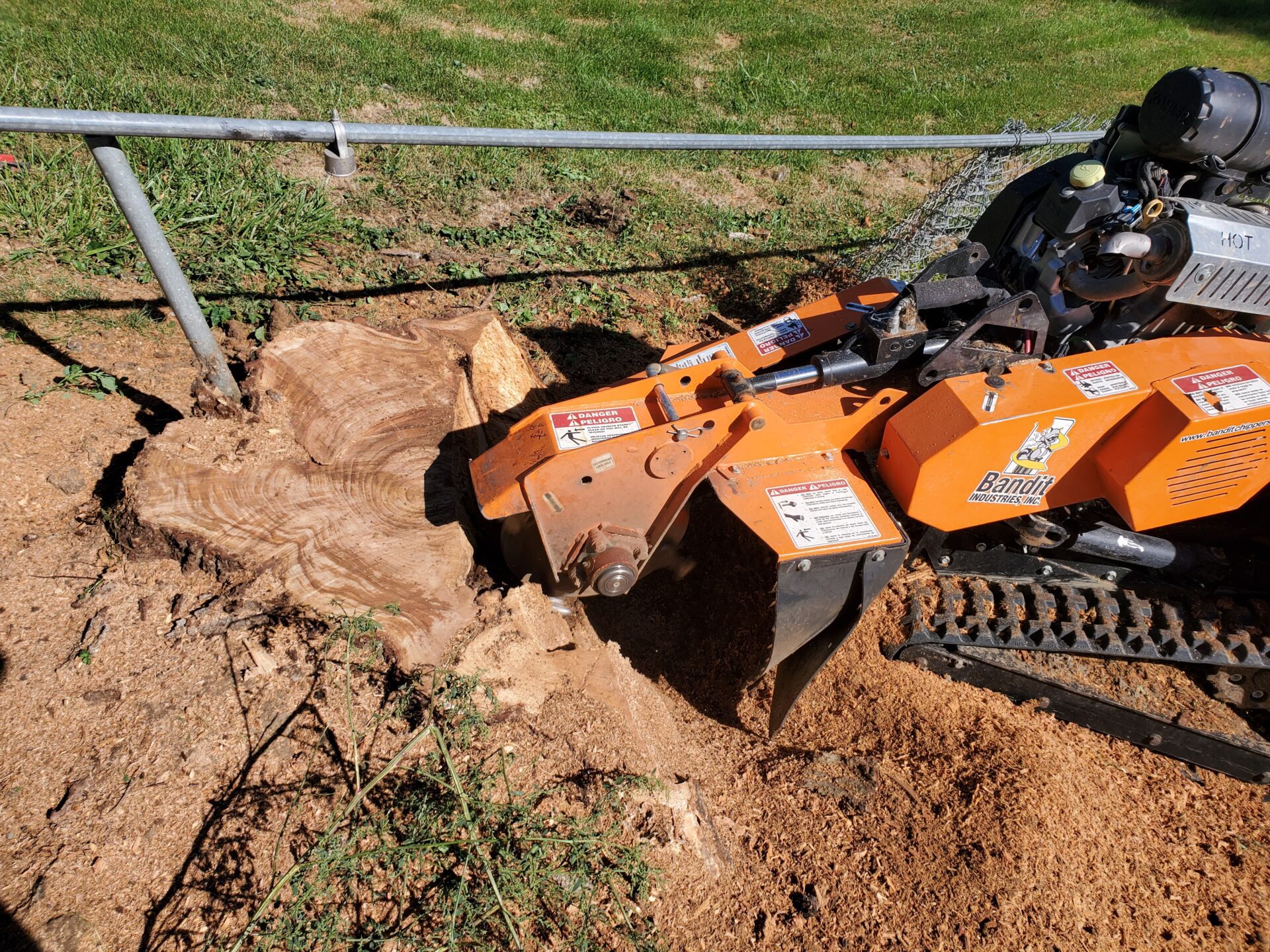 Stump Grinding Papillion, NE